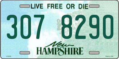 NH license plate 3078290