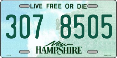 NH license plate 3078505