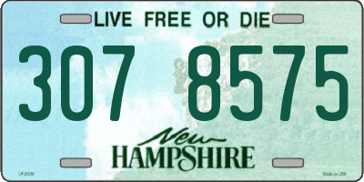 NH license plate 3078575