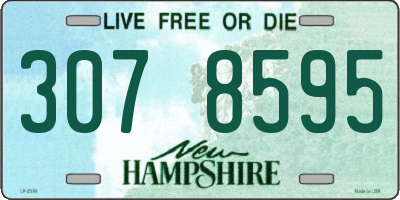 NH license plate 3078595