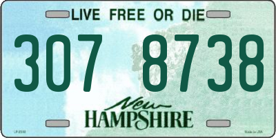 NH license plate 3078738
