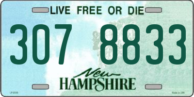 NH license plate 3078833