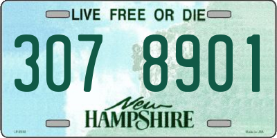 NH license plate 3078901