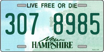 NH license plate 3078985