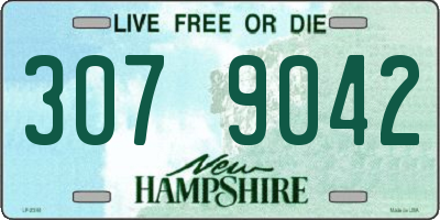 NH license plate 3079042