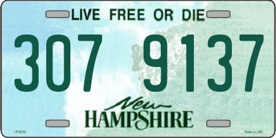 NH license plate 3079137