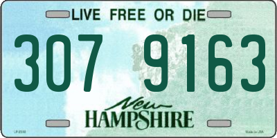 NH license plate 3079163