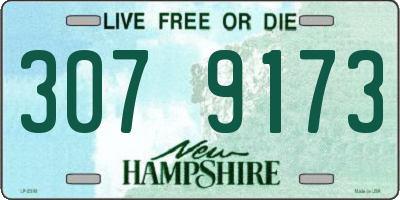 NH license plate 3079173