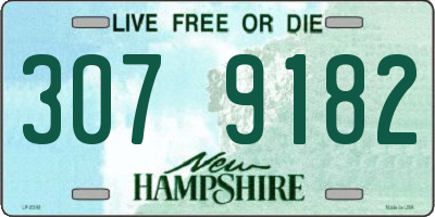 NH license plate 3079182