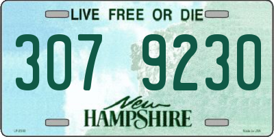 NH license plate 3079230