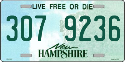 NH license plate 3079236