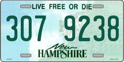 NH license plate 3079238