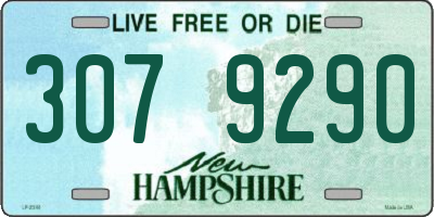 NH license plate 3079290