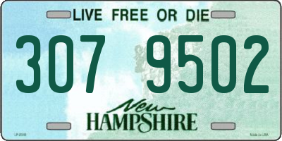 NH license plate 3079502