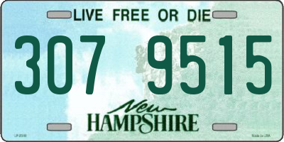 NH license plate 3079515