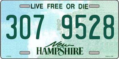 NH license plate 3079528