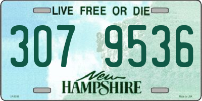NH license plate 3079536