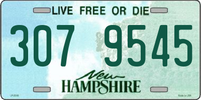 NH license plate 3079545