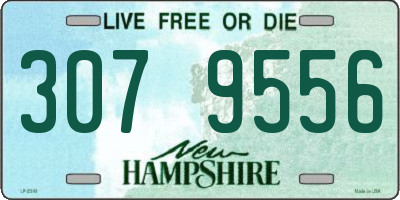 NH license plate 3079556