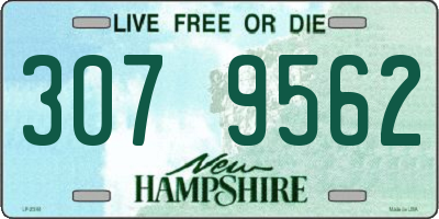NH license plate 3079562