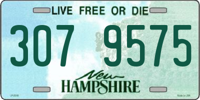 NH license plate 3079575