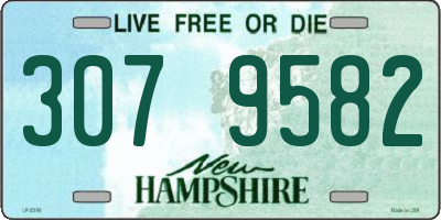 NH license plate 3079582