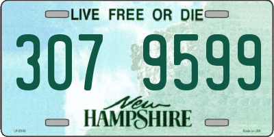 NH license plate 3079599