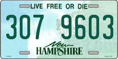 NH license plate 3079603