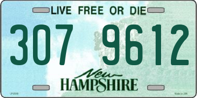 NH license plate 3079612
