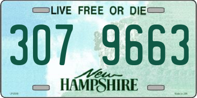 NH license plate 3079663
