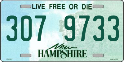 NH license plate 3079733