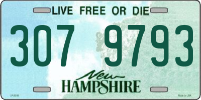 NH license plate 3079793