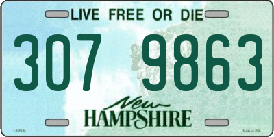 NH license plate 3079863