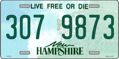 NH license plate 3079873