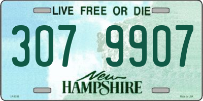NH license plate 3079907