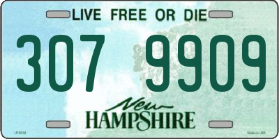 NH license plate 3079909