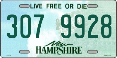 NH license plate 3079928