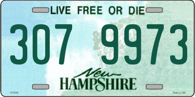 NH license plate 3079973