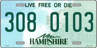 NH license plate 3080103