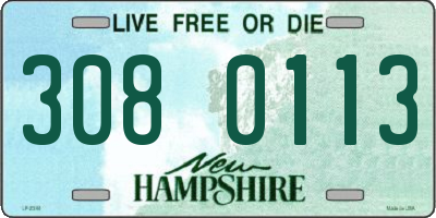 NH license plate 3080113