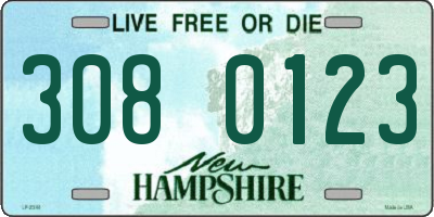 NH license plate 3080123