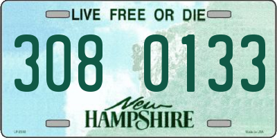 NH license plate 3080133