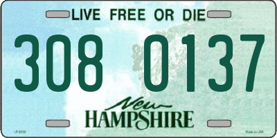 NH license plate 3080137