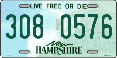 NH license plate 3080576