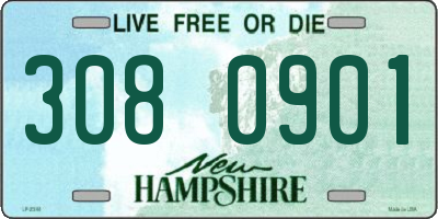 NH license plate 3080901