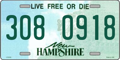 NH license plate 3080918