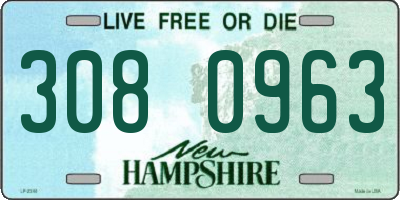 NH license plate 3080963