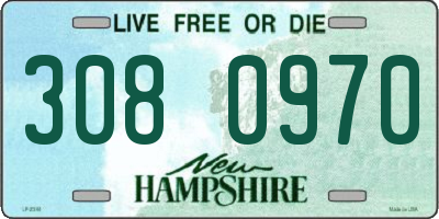 NH license plate 3080970