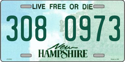 NH license plate 3080973