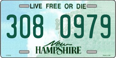 NH license plate 3080979